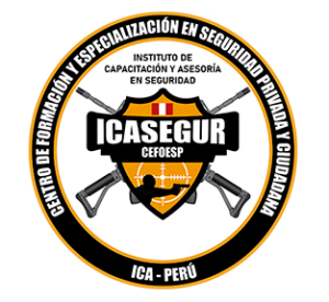 ICASEGUR